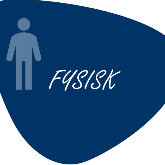 Fysisk